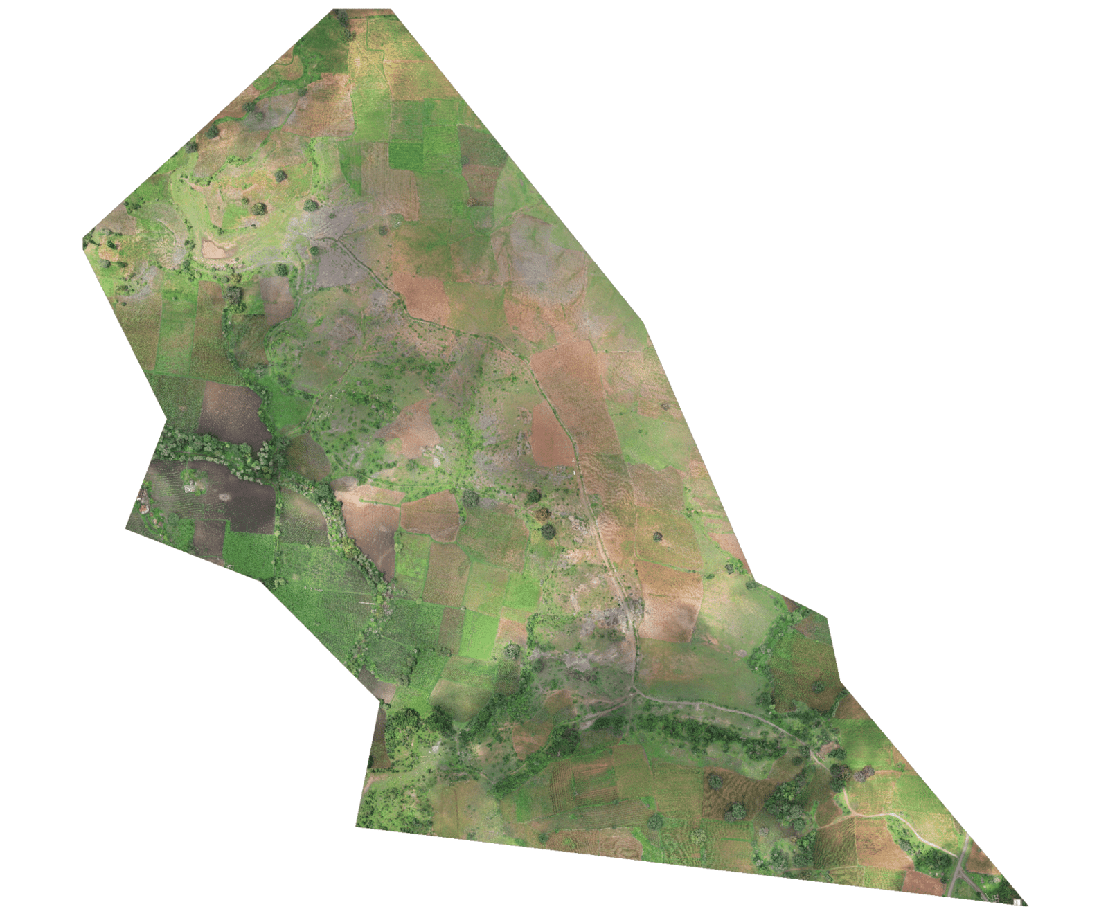 General Land Survey 