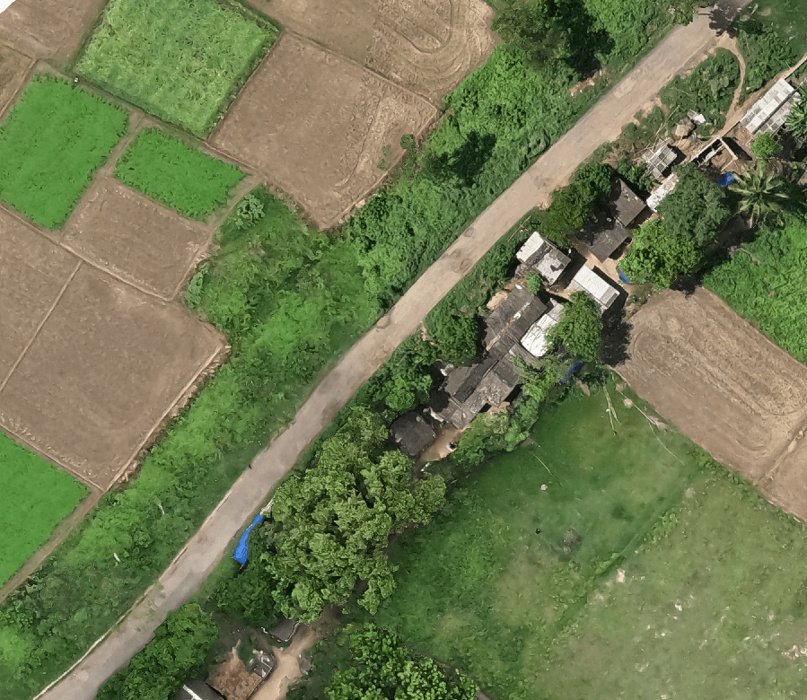 Road Survey